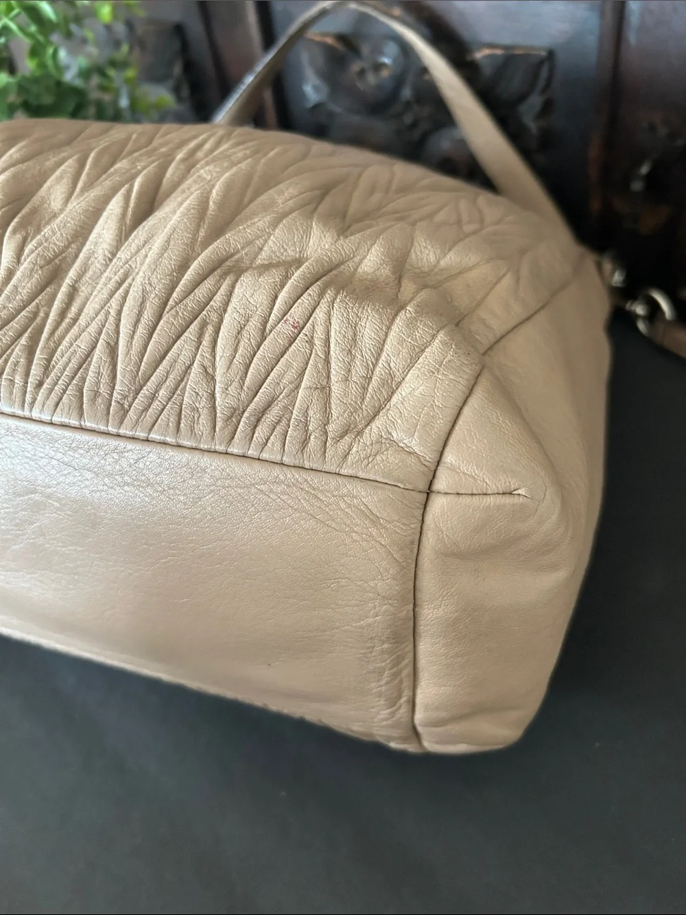 Coach soft cream